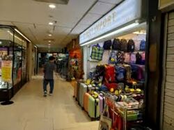 Lucky Plaza (D9), Shop House #529164351